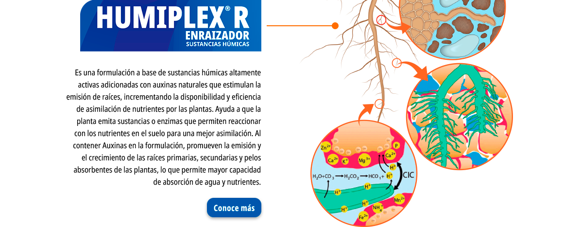 Solución Catiónica Con tecnología innovadora de UPL Open Ag, mejora la ...